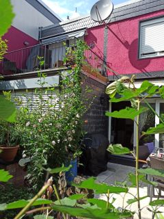 IMG 20250730 155514