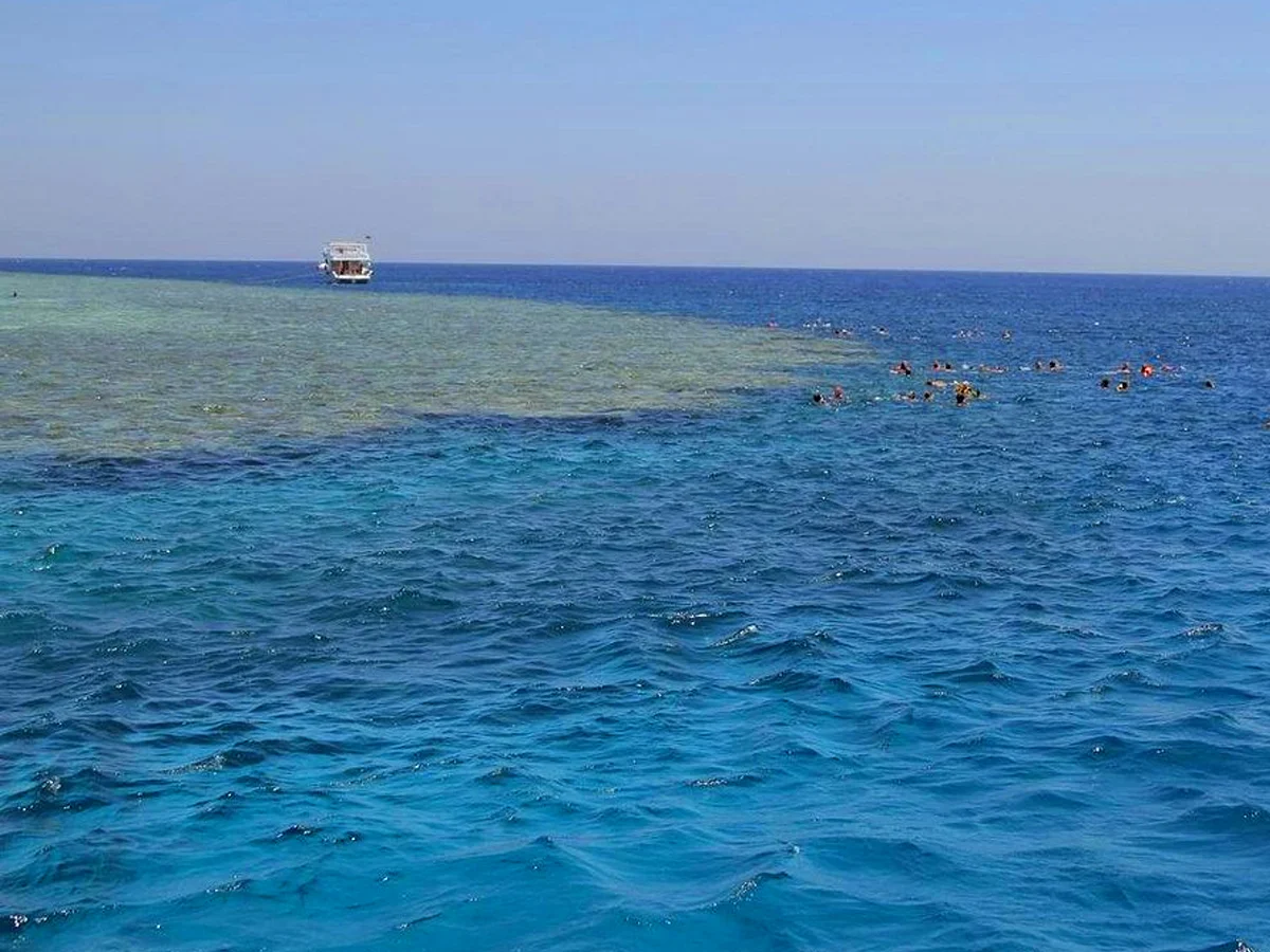 Carless Reef