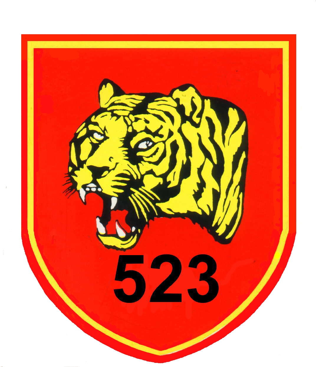 PzBtl 523